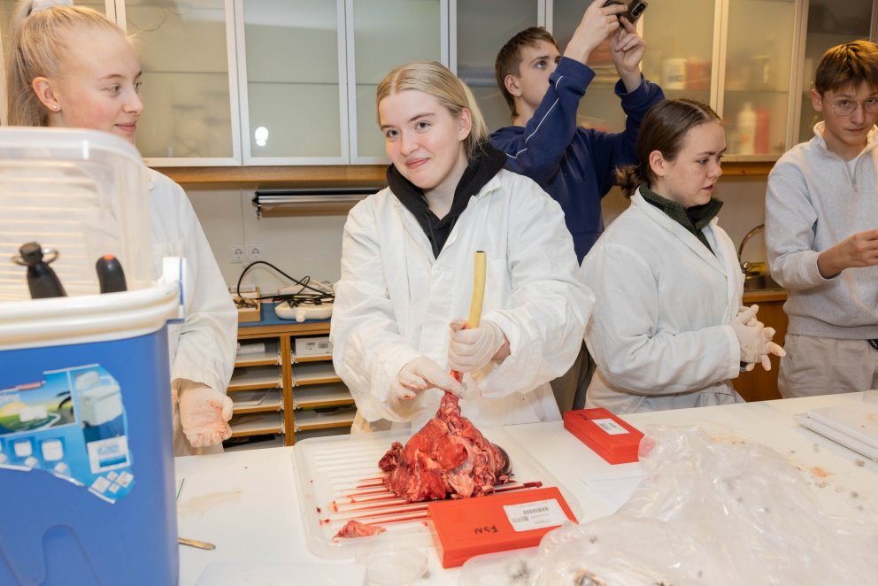 Krufning í áfanga hjá Árna Ásgeirssyni kennara.