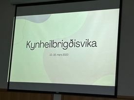 Þemavika - Kynheilbrigði