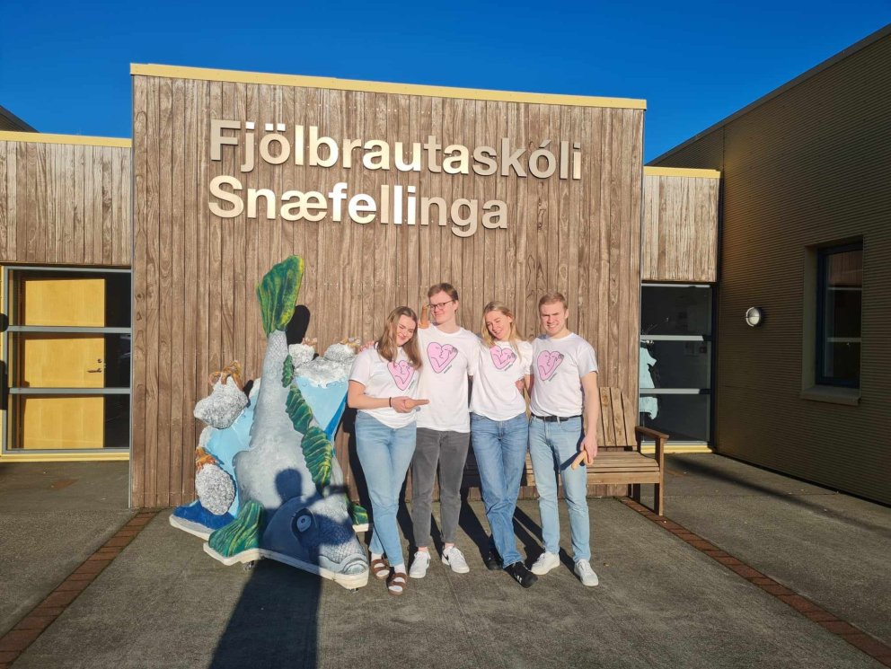 4 læknanemar frá HÍ með kynningu
