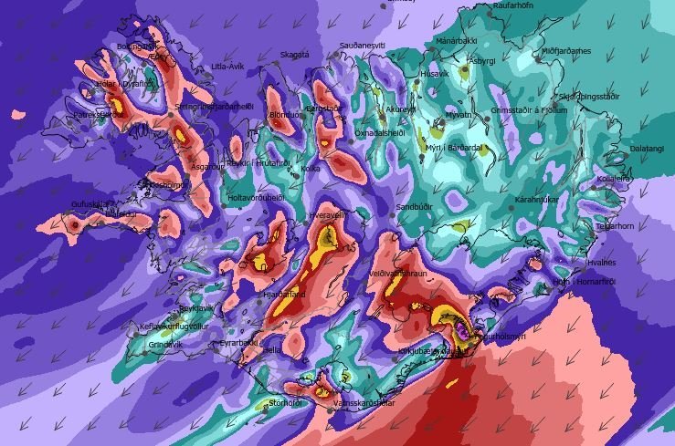Heimferð í dag 13. janúar