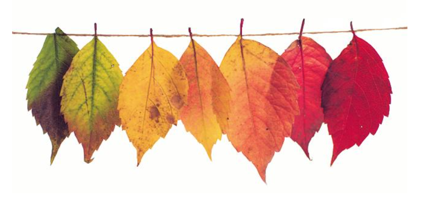 Námsmatsdagur og haustfrí 17.-21.október