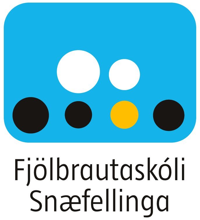 Hefur þú skoðað nýsköpunar- og frumkvöðlabrautina okkar