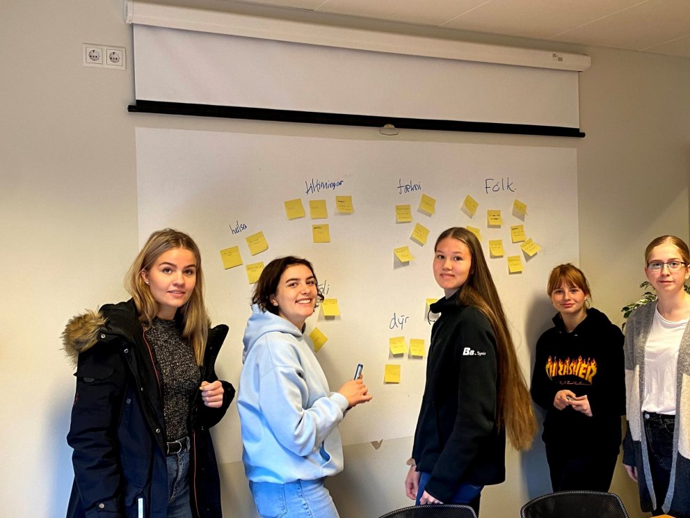 MeMa - Menntamaskína í FSN