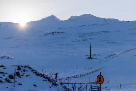 Vetrarfrí 19. og 20. febrúar