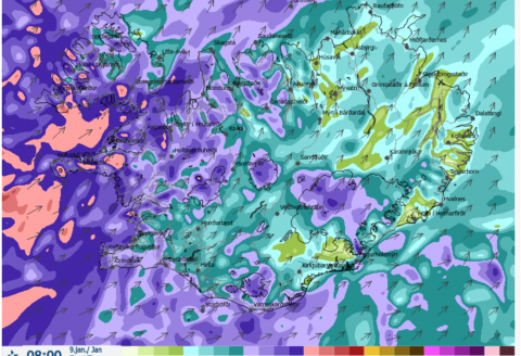 9.janúar - Hefðbundið skólahald fellur niður vegna veðurs.