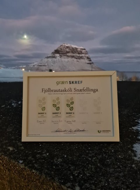 Skrefin þrjú sem FSN er komin með.