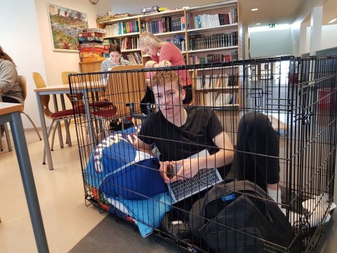 Góðgerðavika Nemendafélags Fjölbrautaskóla Snæfellinga