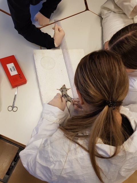 Inngangur að náttúruvísindum