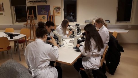 Smásjárskoðun í frumulíffræði og erfðafræði