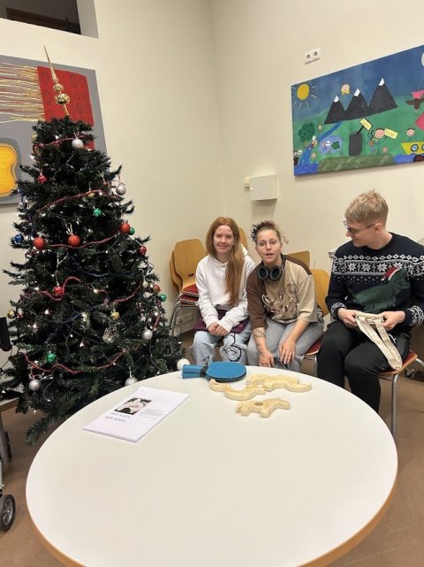 Anna Sigrún Kjartansdóttir, Hanna María Guðnadóttir og Hermann Oddsson kynntu lokaverkefni sín fyrir…