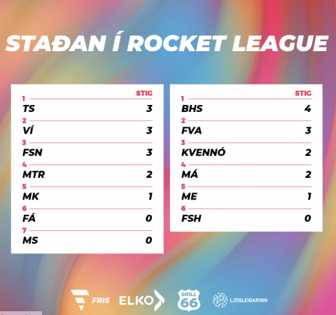 Nemendur FSN í FRÍS