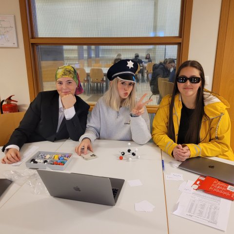 Nemendur í sameindasetti