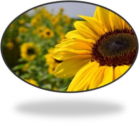 Skrifstofan lokuð vegna sumarleyfa